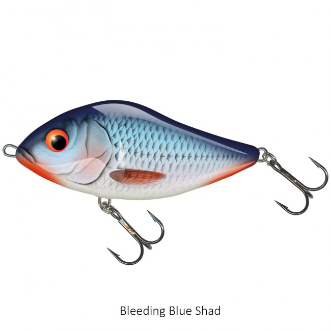 Bleeding Blue Shad